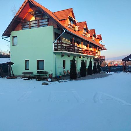 Pensiunea Leia Transfagarasan Кирцишоара Екстер'єр фото