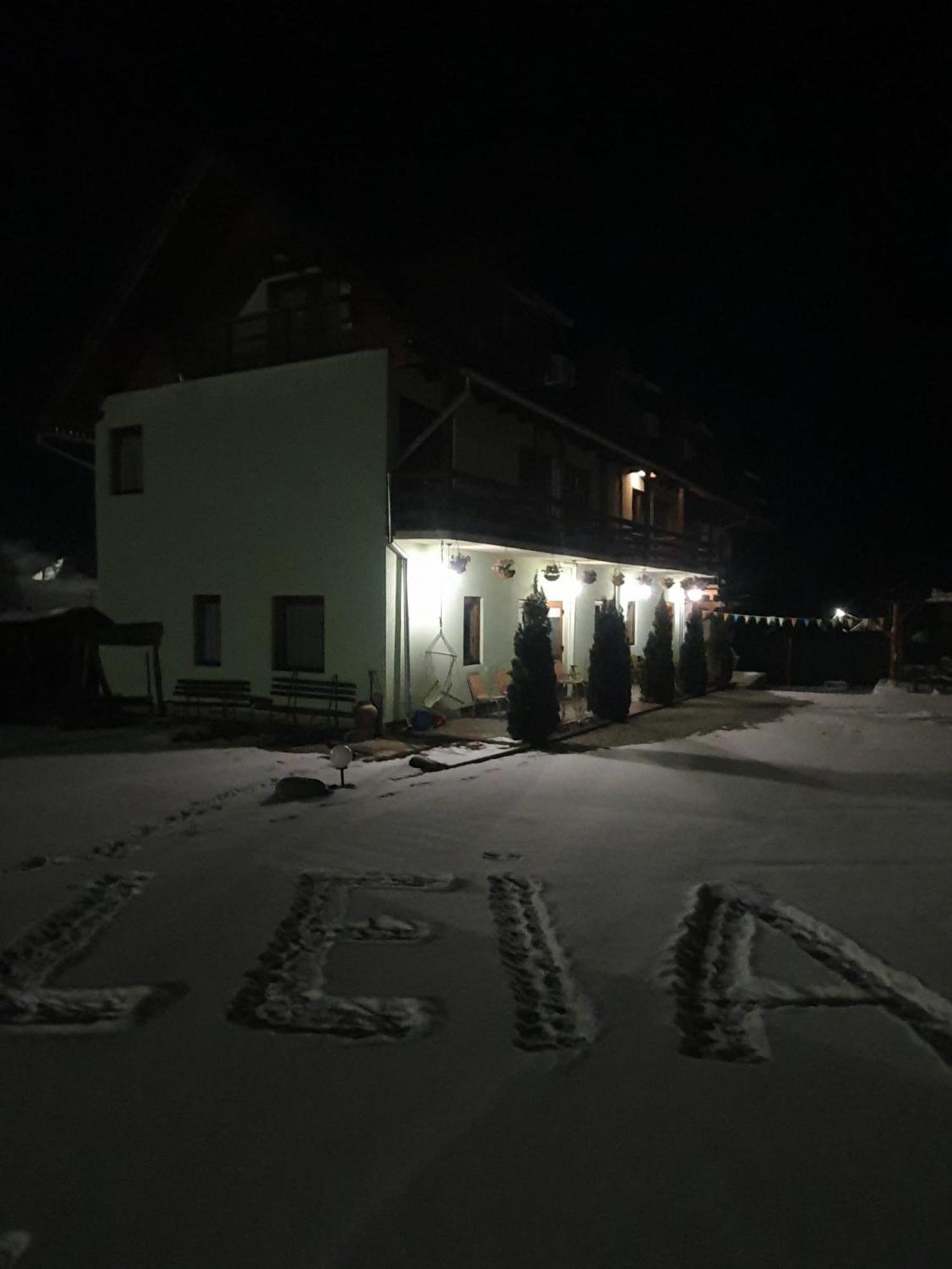 Pensiunea Leia Transfagarasan Кирцишоара Екстер'єр фото
